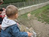 IMG_9078