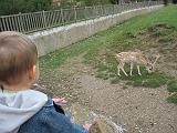 IMG_9079