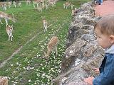 IMG_9087