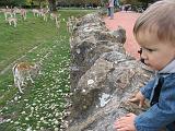 IMG_9095