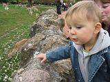 IMG_9104