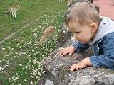IMG_9106