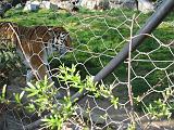 IMG_3344