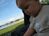 IMG_4597
