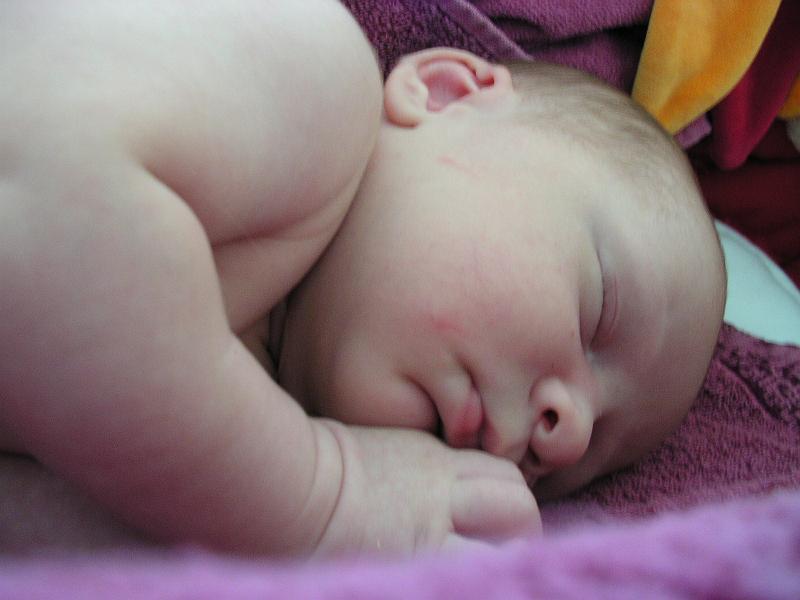 DSCN2600.JPG