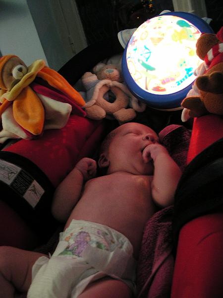 DSCN2688.JPG