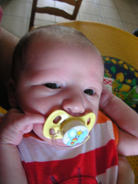 DSCN2293.JPG