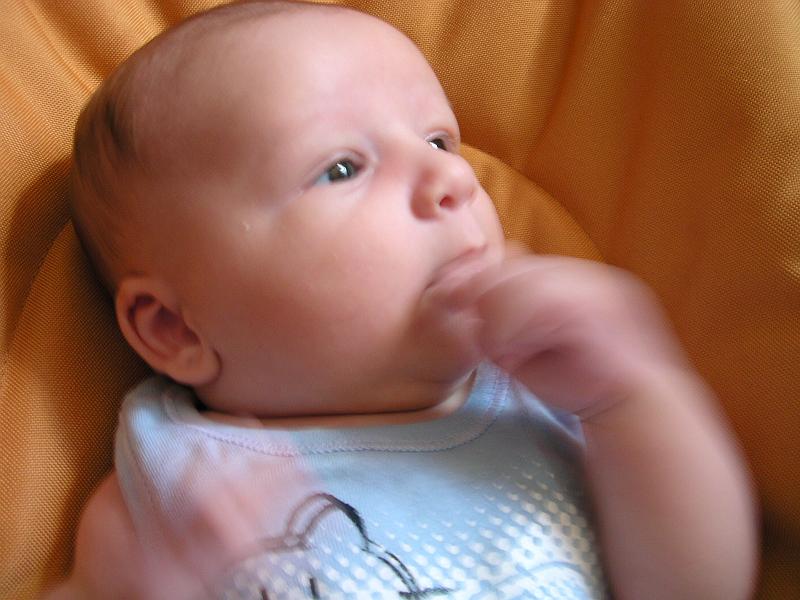 DSCN3090.JPG