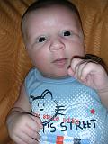 DSCN3117