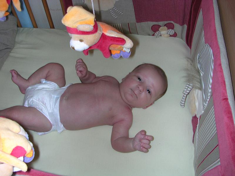 DSCN2966.JPG