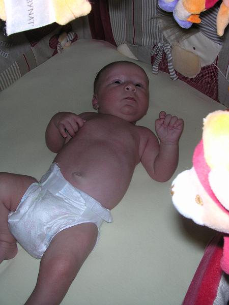 DSCN2972.JPG