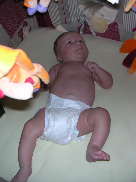 DSCN2978.JPG