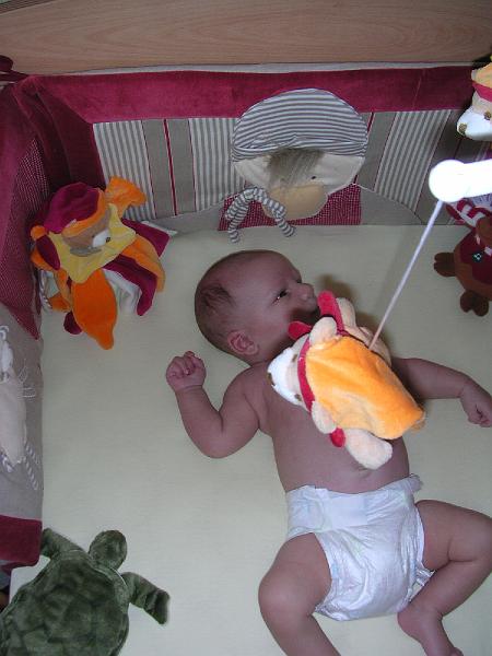 DSCN2979.JPG