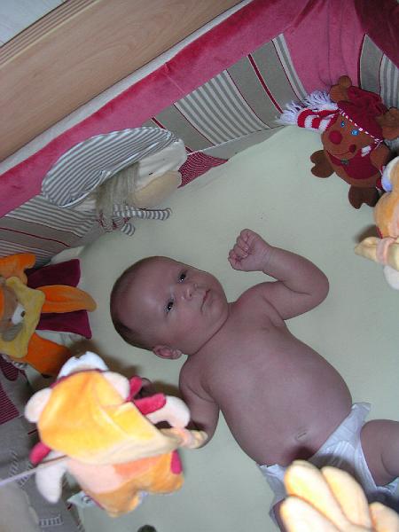 DSCN2980.JPG