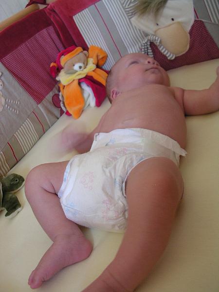 DSCN2982.JPG