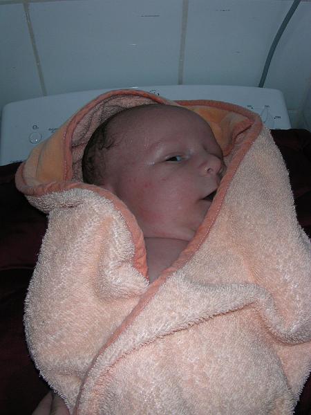 DSCN2738.JPG