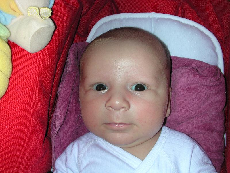 DSCN2923.JPG - S�rieux sur la premi�re photo...
