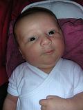 DSCN2931