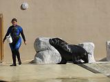 IMG_2974