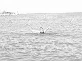 IMG_3398