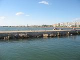 IMG_2889