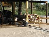 IMG_3153