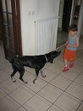 IMG_2757