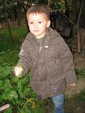 IMG_4381