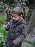 IMG_4387