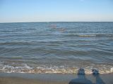 IMG_8734