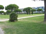 IMG_8867