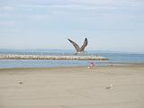 IMG_8875