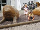 IMG_8898