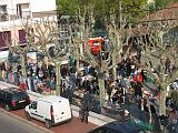 IMG_6536