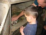 IMG_1661