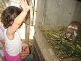 IMG_1665