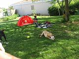 IMG_1675